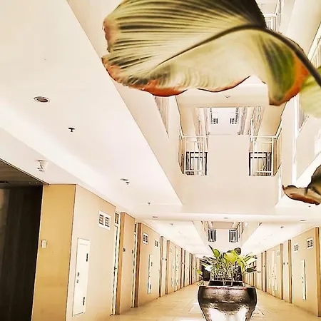 Comfy Studio 5 Mins To Mactan Airport Lapu-Lapu City Exterior photo